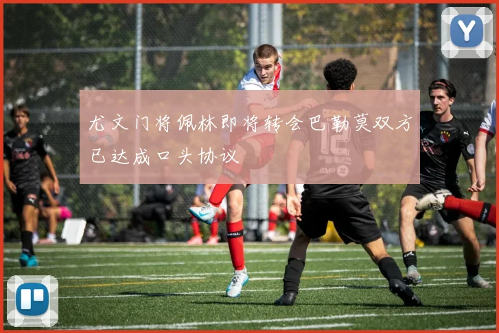 尤文门将佩林即将转会巴勒莫双方已达成口头协议